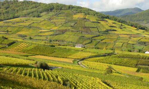 Vue du Sonnenberg depuis le Kaefferkopf